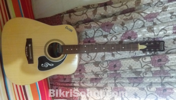 Givson Jumbo guitar with cover